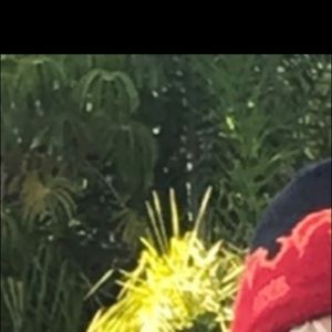 Meet your Posher, Tanner